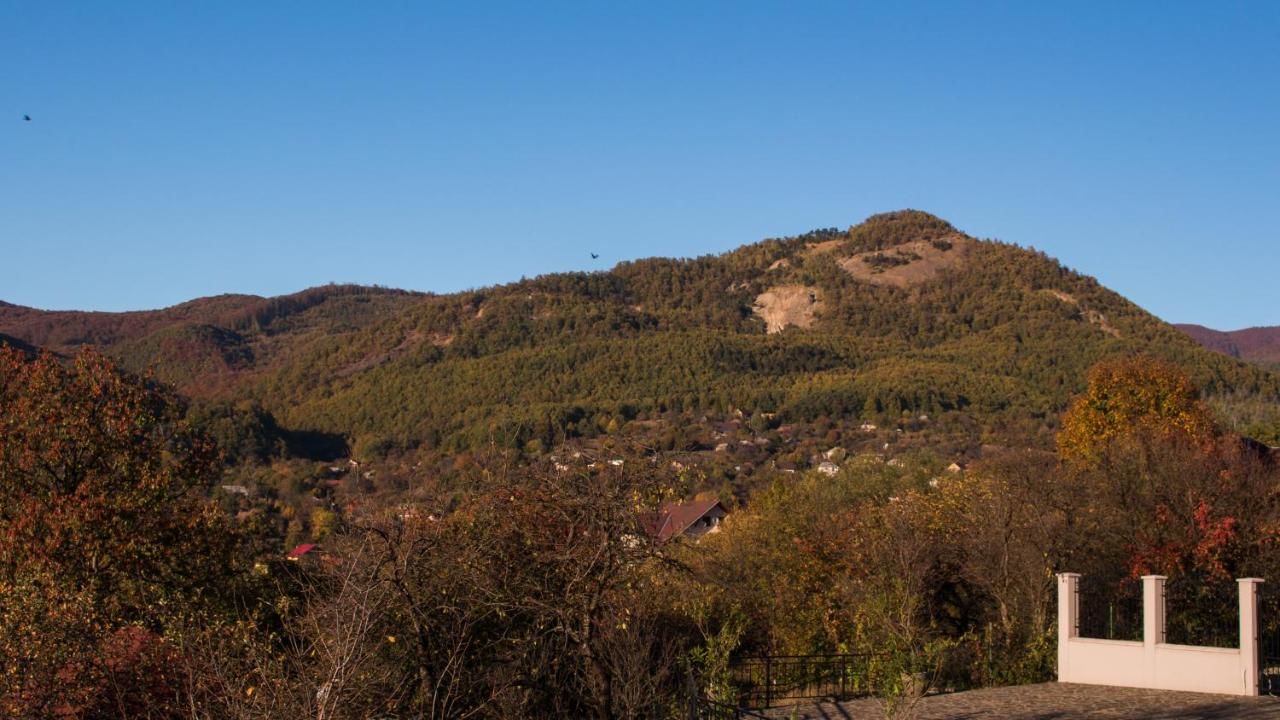 Гостевой дом Panoramic Бая-Сприе-45